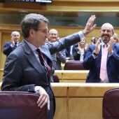 Alberto Núñez Feijóo saluda a la bancada del PP en el Senado entre aplausos