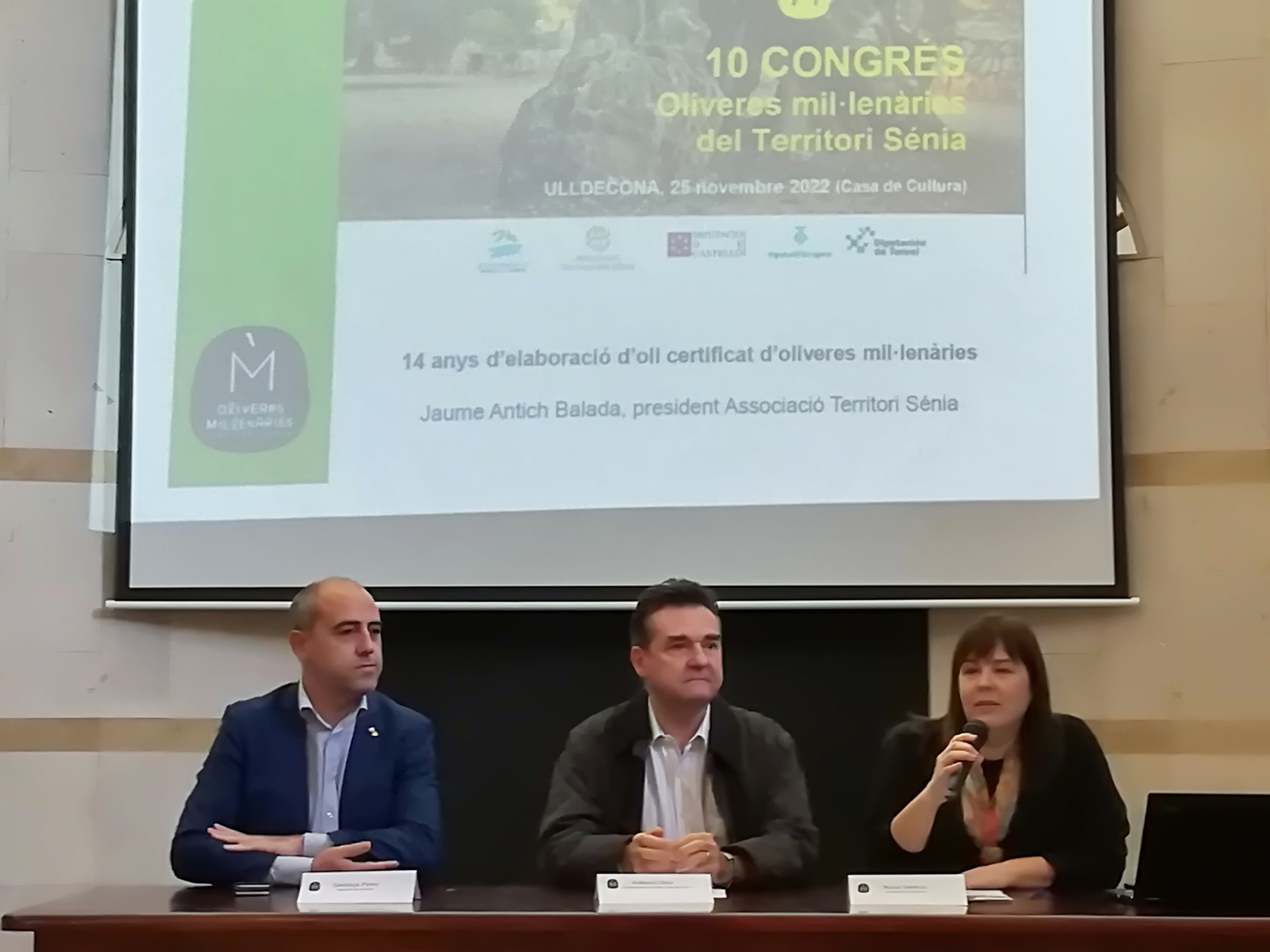 La Diputación defiende el potencial turístico de los olivos milenarios como herramienta para luchar contra la despoblación La Diputación defiende el potencial turístico de los olivos milenarios como herramienta para luchar contra la despoblación