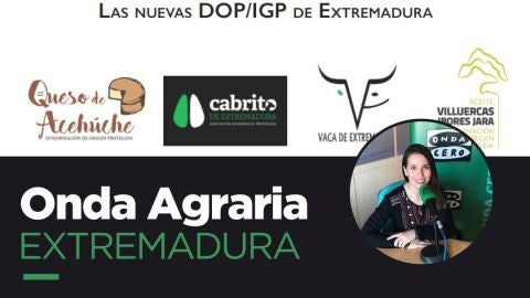 Cartel programa