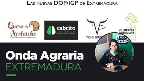 Cartel programa Cartel programa