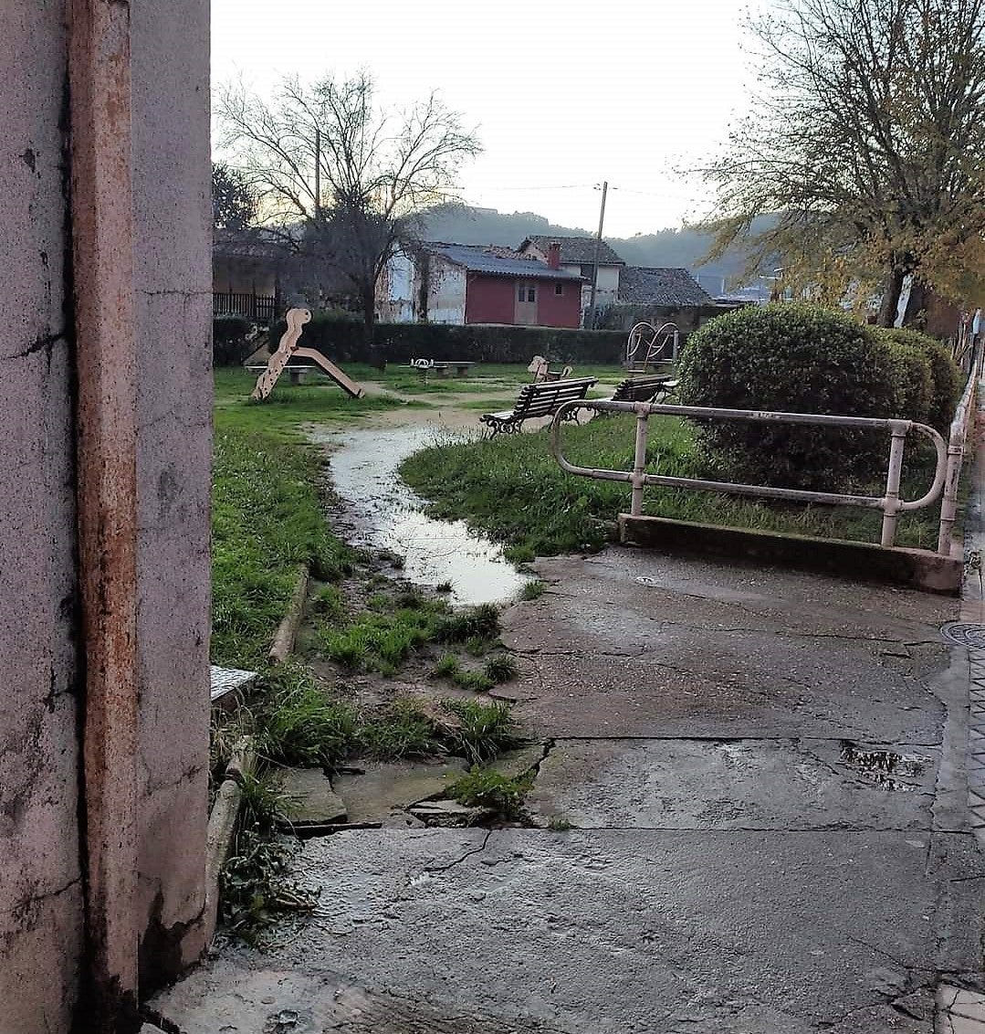 O BNG denuncia o estado no que se atopa a zona verde da rúa Ribeiriño O BNG denuncia o estado no que se atopa a zona verde da rúa Ribeiriño