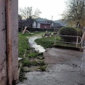 O BNG denuncia o estado no que se atopa a zona verde da rúa Ribeiriño O BNG denuncia o estado no que se atopa a zona verde da rúa Ribeiriño