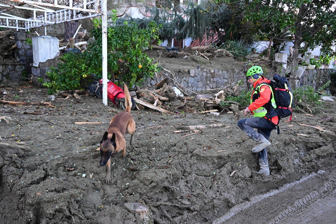 Al menos ocho muertos y varios desaparecidos tras un corrimiento de tierra en la isla de Ischia Al menos ocho muertos y varios desaparecidos tras un corrimiento de tierra en la isla de Ischia