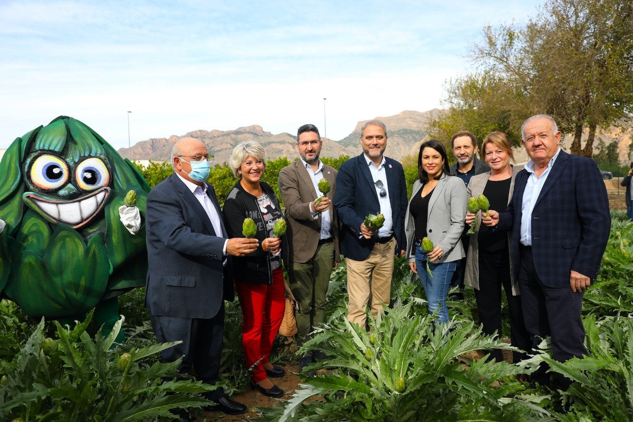 Antonio A. Hurtado, presidente Asociación Alcachofa Vega Baja, nueva campaña Antonio A. Hurtado, presidente Asociación Alcachofa Vega Baja, nueva campaña