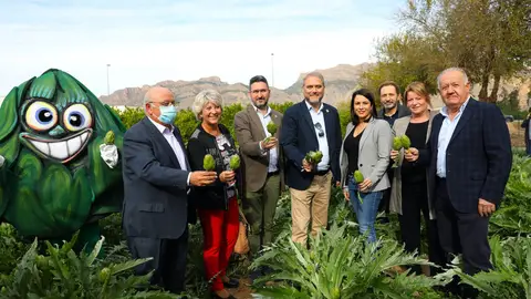 Antonio A. Hurtado, presidente Asociación Alcachofa Vega Baja, nueva campaña alcachofa