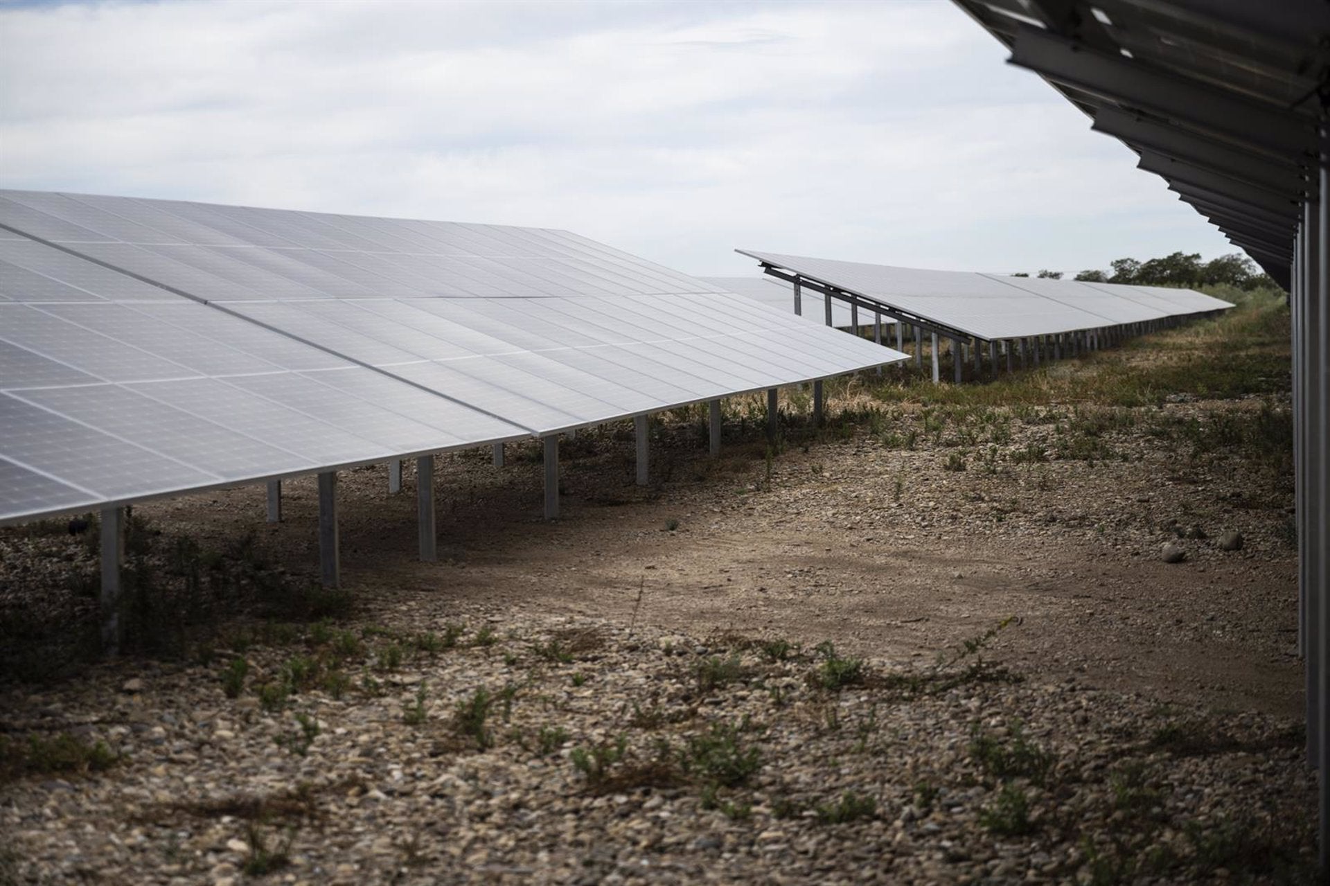 La Junta deniega la autorización ambiental a una planta solar fotovoltaica en Tabernas La Junta deniega la autorización ambiental a una planta solar fotovoltaica en Tabernas