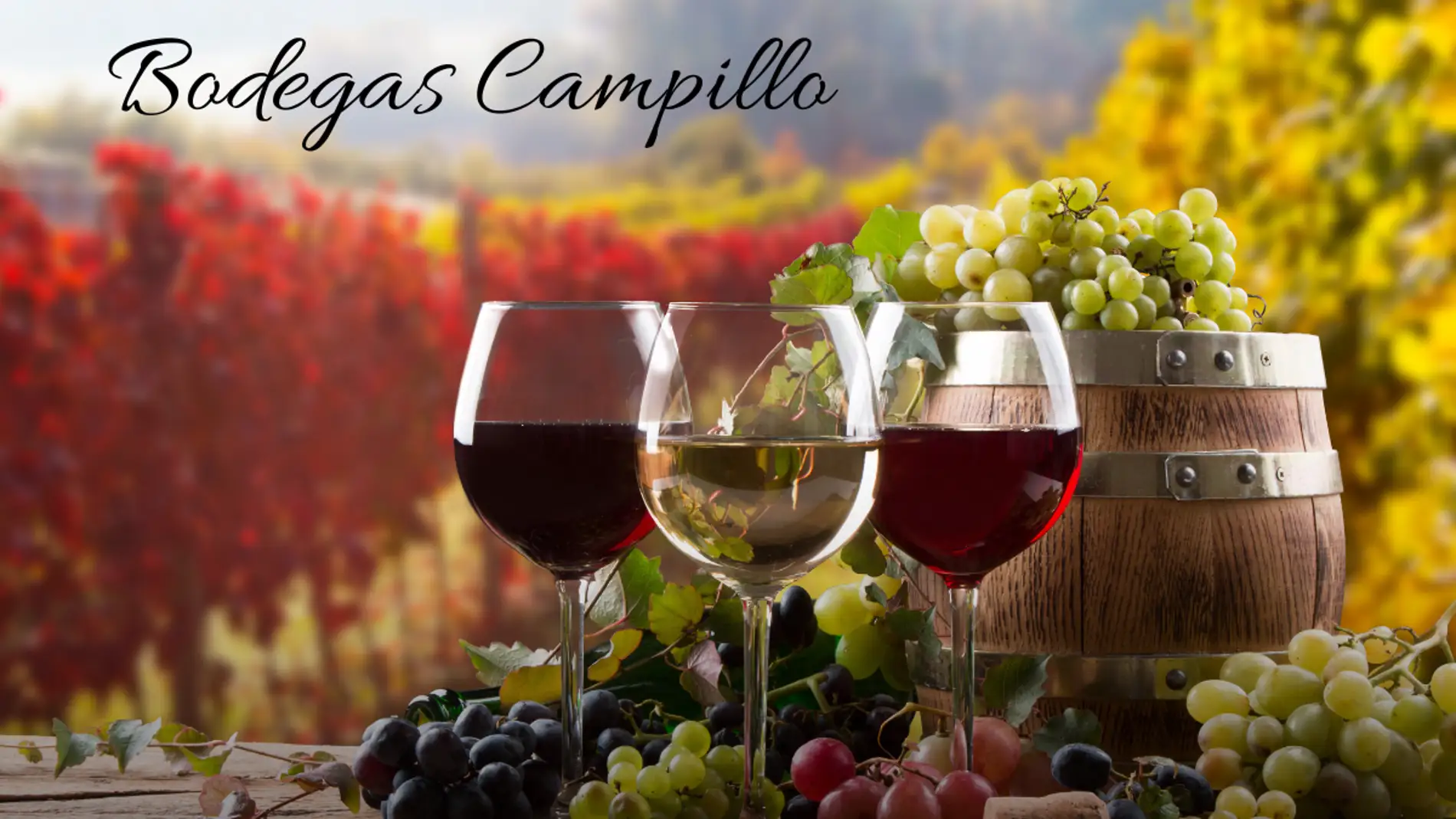 Bodegas Campillo, una bodega tradicional y romántica, rodeada de viñedos, en el corazón de Rioja Alavesa