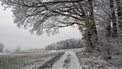 Paisaje nevado