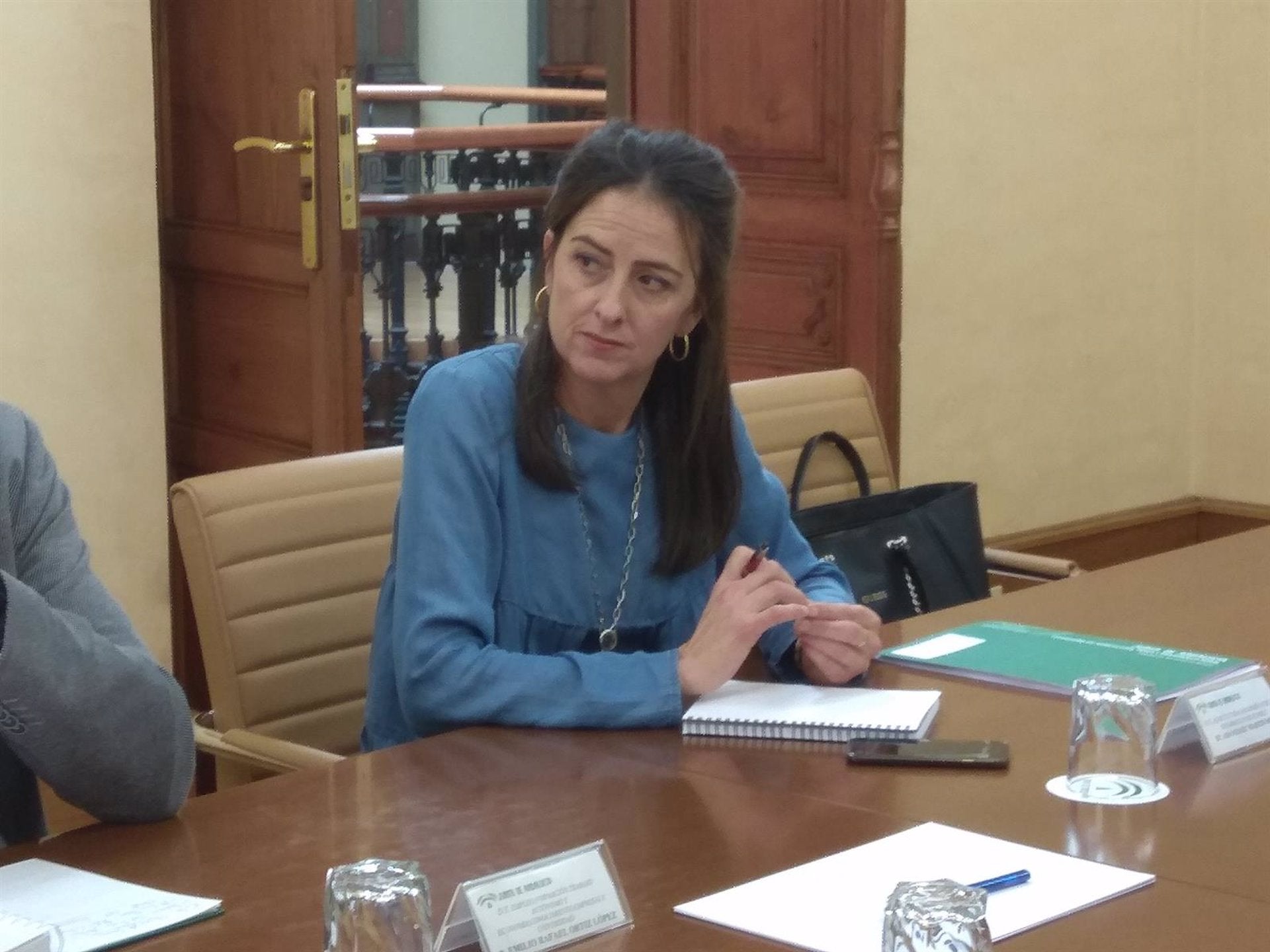 Erradicada la plaga de pulgas que obligó a cerrar las aulas del IES Santo Domingo de El Ejido Erradicada la plaga de pulgas que obligó a cerrar las aulas del IES Santo Domingo de El Ejido