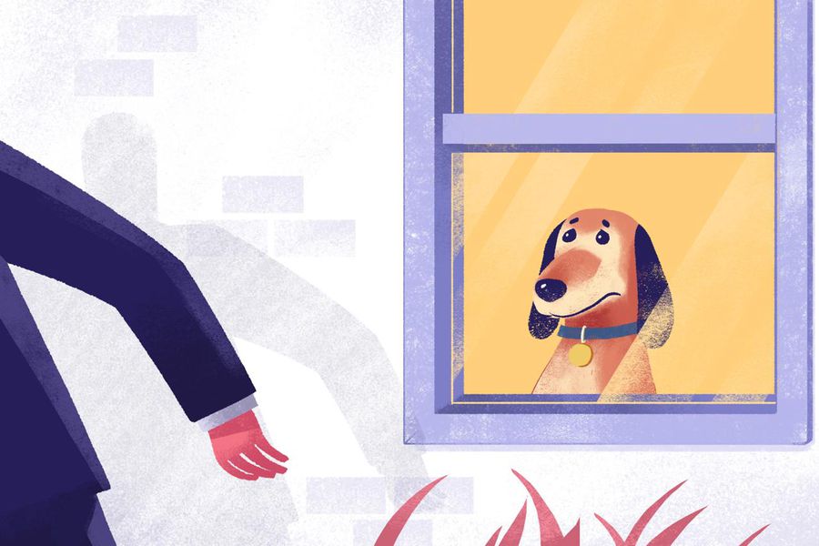 Ángel Osuna, adiestrador canino, "cómo tratar la ansiedad por separación" Ángel Osuna, adiestrador canino, "cómo tratar la ansiedad por separación"