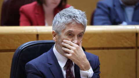 El ministro del Interior, Fernando Grande-Marlaska, en un pleno del Senado en Madrid. 