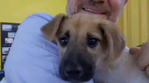 Farala, la cachorrita que busca un hogar de adopción Farala, la cachorrita que busca un hogar de adopción
