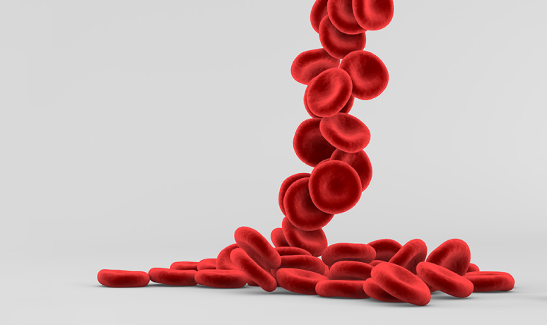 Los farmacéuticos recuerdan que la falta de hierro es la causa más común de la anemia Los farmacéuticos recuerdan que la falta de hierro es la causa más común de la anemia