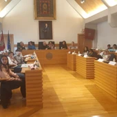 Pleno municipal escolar de Ciudad Real Pleno municipal escolar de Ciudad Real