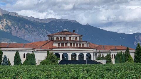 Bodega Campillo
