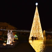 Iluminación navideña San Pedro Alcántara Iluminación navideña San Pedro Alcántara