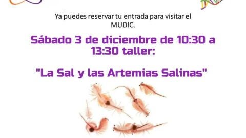 mudic
