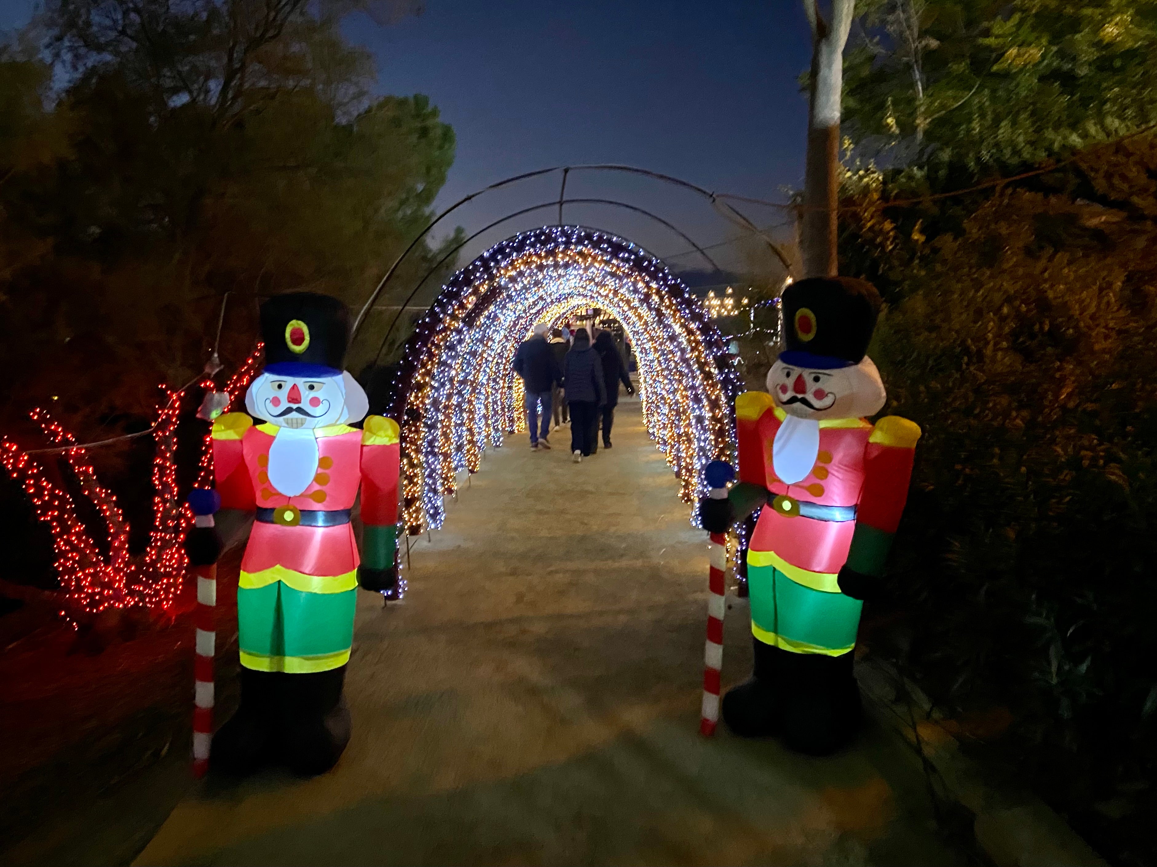 Cuándo encienden las luces en Lleida en 2022: horario y cómo verlas Cuándo encienden las luces en Lleida en 2022: horario y cómo verlas