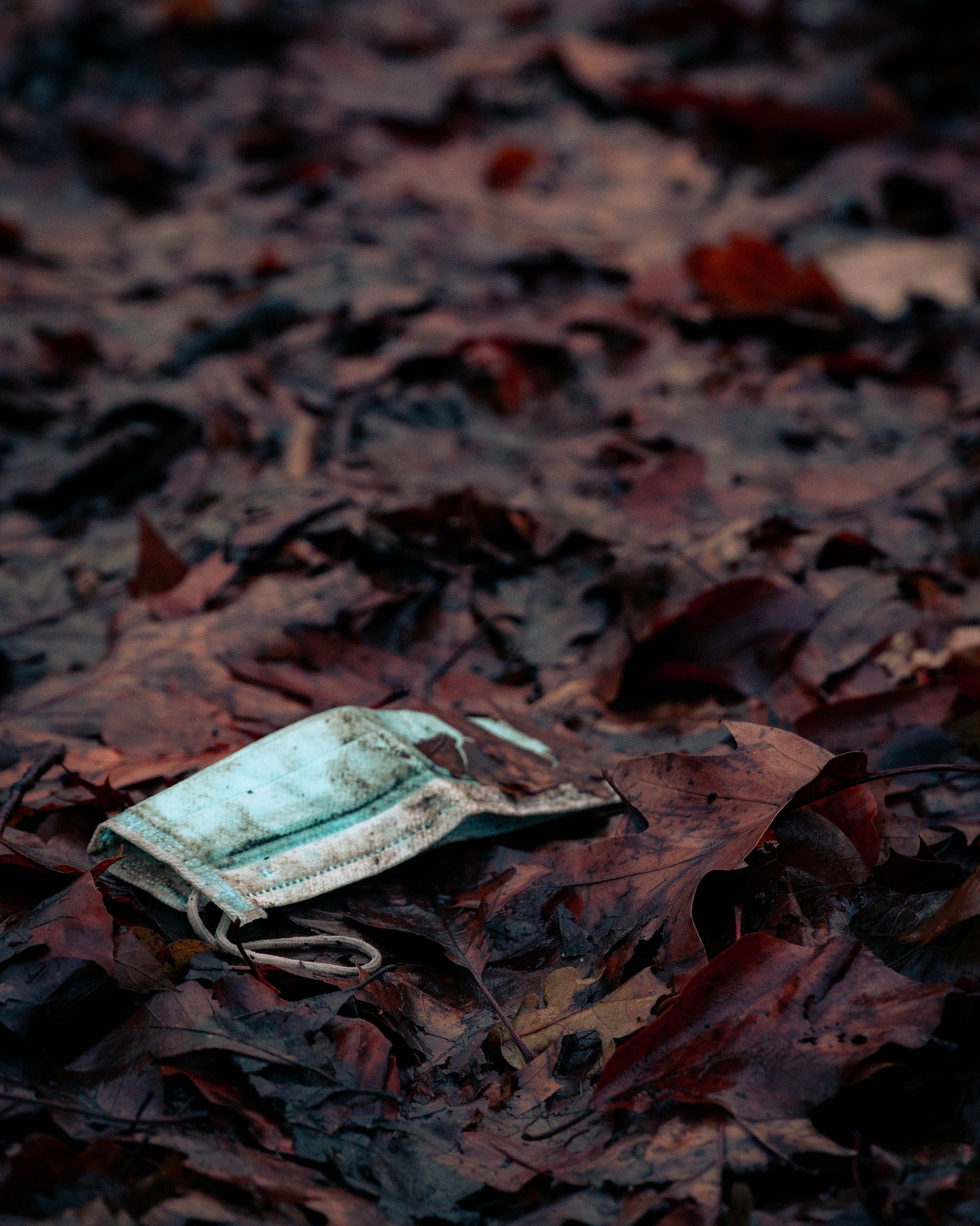 Un prestigioso virólogo alemán pone fecha al final del Covid-19 Un prestigioso virólogo alemán pone fecha al final del Covid-19