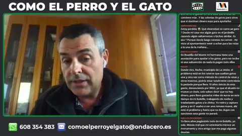 ¿Es la gestión ética de colonias felinas una solución real y factible? ¿Es la gestión ética de colonias felinas una solución real y factible?