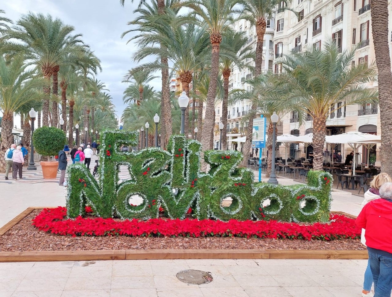 Alicante adorna con motivos navideños de planta viva el Ayuntamiento, la Explanada, Calvo Sotelo y Luceros Alicante adorna con motivos navideños de planta viva el Ayuntamiento, la Explanada, Calvo Sotelo y Luceros