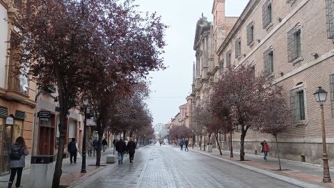 Ya est&aacute; en marcha la campa&ntilde;a EligeAlcal&aacute;, iniciativa que busca posicionar a la ciudad complutense como destino de compras estas navidades