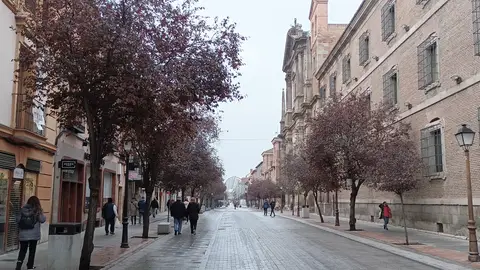 Calle Libreros de Alcalá de Henares Ya está en marcha la campaña EligeAlcalá, iniciativa que busca posicionar a la ciudad complutense como destino de compras estas navidades