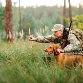 Perro de caza