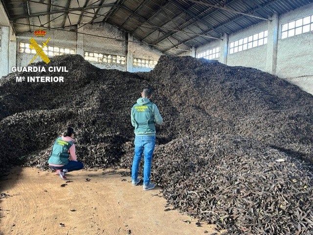 Dos detenidos en Vinaroz por robo de 37 toneladas de algarrobas Dos detenidos en Vinaroz por robo de 37 toneladas de algarrobas