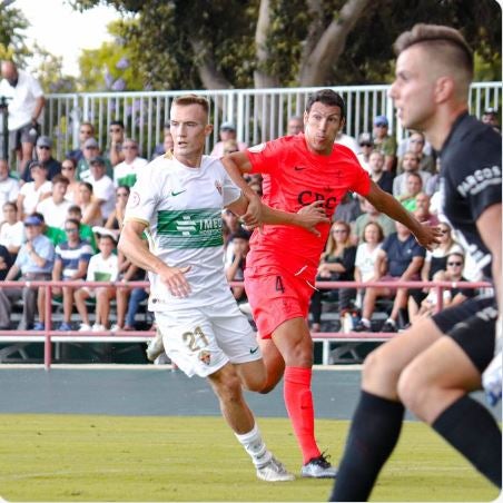 Agenda polideportiva del fin de semana en Elche y las comarcas del Vinalopó Agenda polideportiva del fin de semana en Elche y las comarcas del Vinalopó