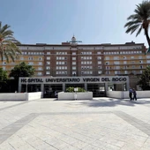 Hospital universitario Virgen del Rocío/EFE/José Manuel Vidal Hospital universitario Virgen del Rocío/EFE/José Manuel Vidal