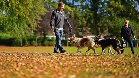 'El Sonido de la Calle', con Miguel Muñoz 'El Sonido de la Calle', con Miguel Muñoz