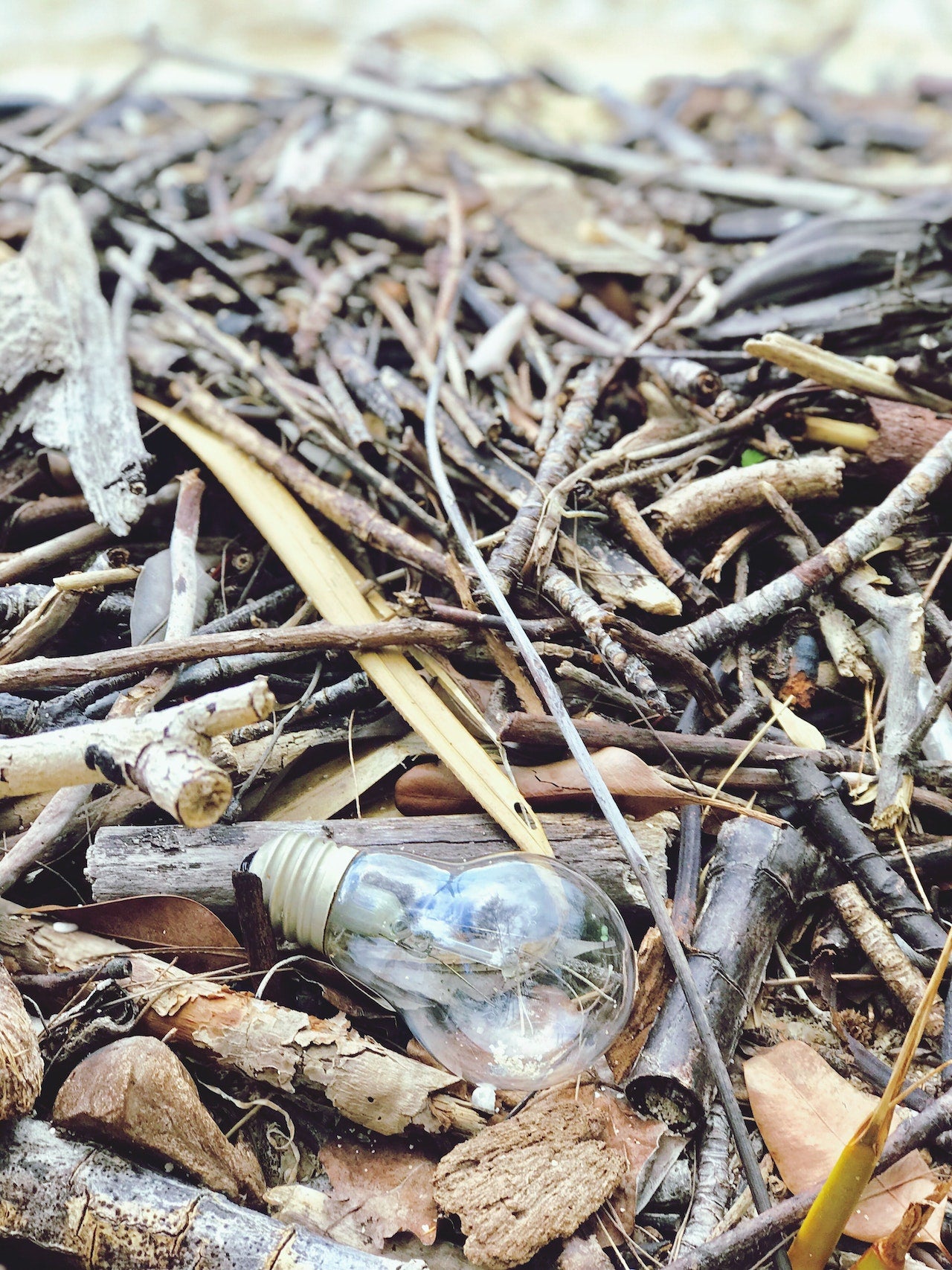 El drama de la pobreza energética en España: "A partir de las 20:00 alumbro mi casa con la luz del televisor" El drama de la pobreza energética en España: "A partir de las 20:00 alumbro mi casa con la luz del televisor"