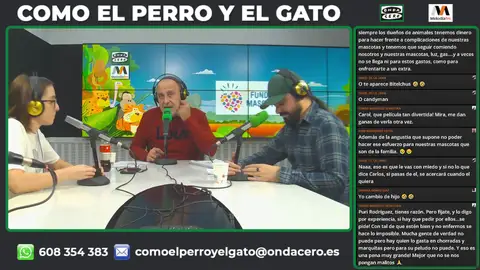 Como el Perro y el Gato 11/12/2022 Como el Perro y el Gato 11/12/2022