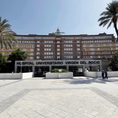 Hospital Universitario Virgen del Rocío | EFE/José Manuel Vidal Hospital Universitario Virgen del Rocío | EFE/José Manuel Vidal