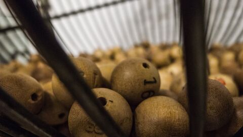 El motivo psicol&oacute;gico por el que no puedes evitar comprar Loter&iacute;a de Navidad