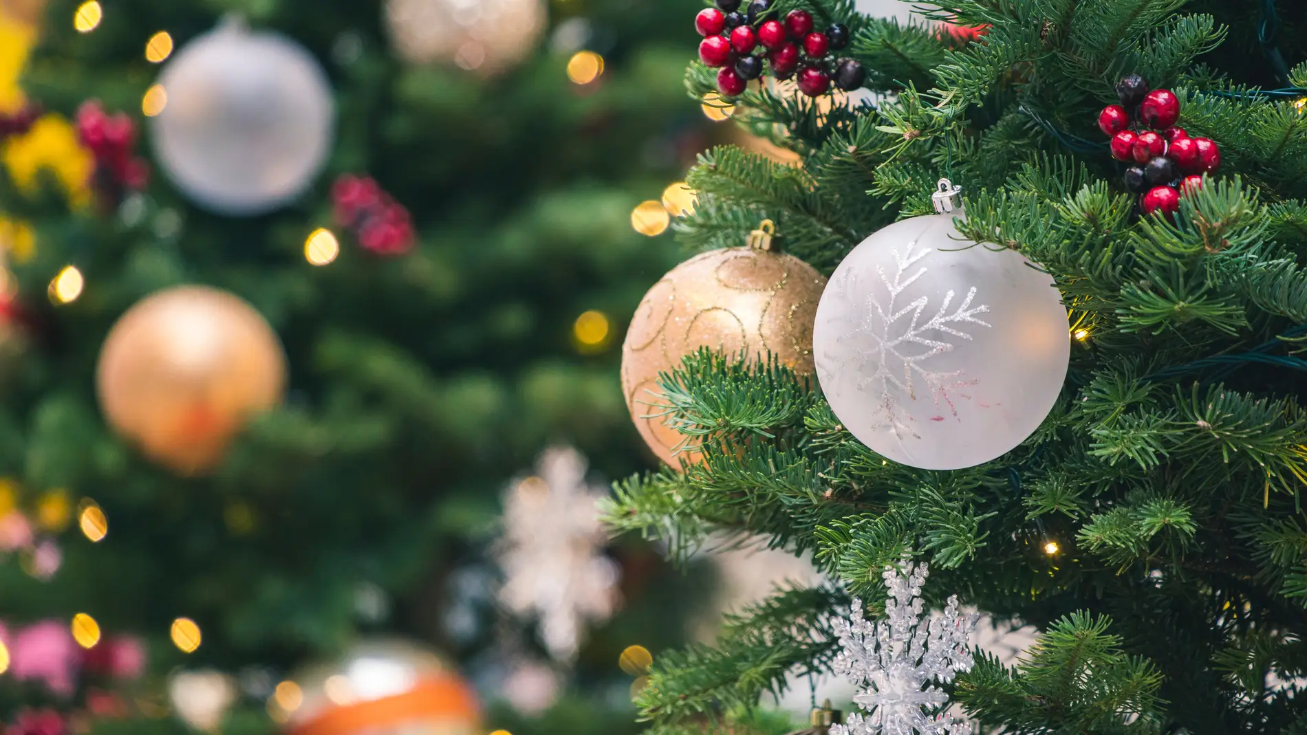 Fotografía de archivo de un árbol de Navidad.