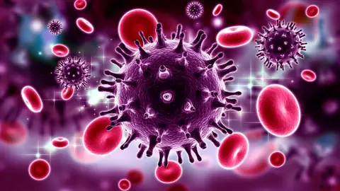 viru virus