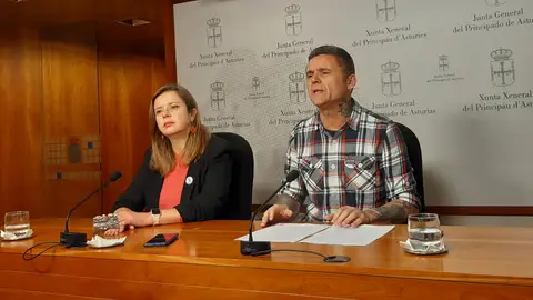 Podemos insta a sus inscritos orientar el voto sobre el presupuesto del Principado Podemos insta a sus inscritos orientar el voto sobre el presupuesto del Principado