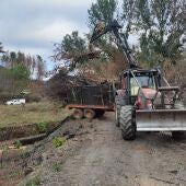 Finalizan os traballos de restauración nas zonas afectadas polos incendios en Valdeorras