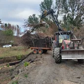 Finalizan os traballos de restauración nas zonas afectadas polos incendios en Valdeorras Finalizan os traballos de restauración nas zonas afectadas polos incendios en Valdeorras