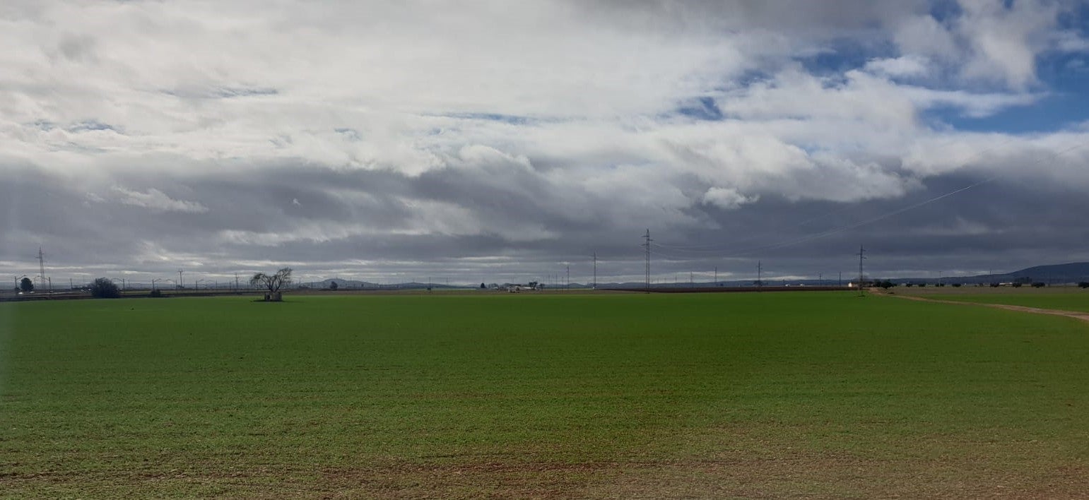 El campo se beneficia con las lluvias que caen estos días El campo se beneficia con las lluvias que caen estos días