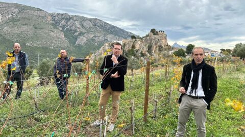 javier velasco bodega masos guadalest vino