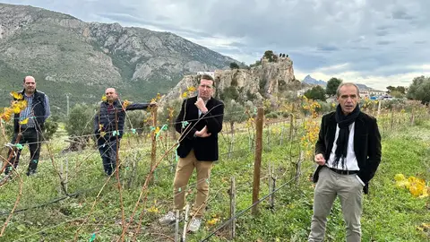 javier velasco bodega masos guadalest vino javier velasco bodega masos guadalest vino