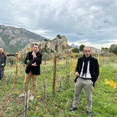javier velasco bodega masos guadalest vino javier velasco bodega masos guadalest vino