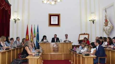 Pleno municipal