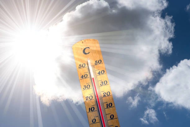Se prevé un invierno cálido y sin precipitaciones en Castilla-La Mancha Se prevé un invierno cálido y sin precipitaciones en Castilla-La Mancha