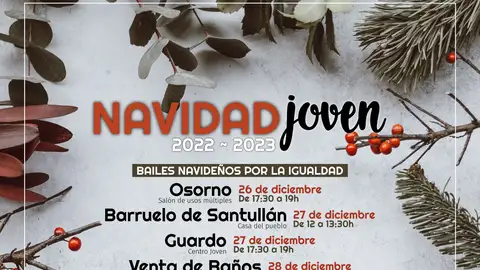 Bailes Navideños por la Igualdad, el Escape- Room ‘Misterio Navideño’ y la Gymkana Navideña Saludable, componen la oferta de Juventud de la Diputación para esta Navidad .