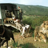Fotografía de archivo que muestra a un perrero soltando una reala de perros.