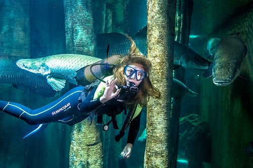 Las mejores experiencias turísticas de Aragón Las mejores experiencias turísticas de Aragón